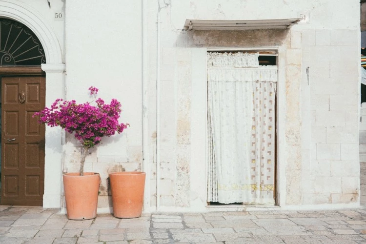 bari - la città vecchia